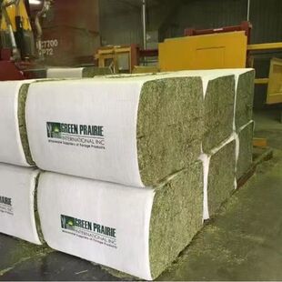 10斤美国进口优质苜蓿草干草羊驼草料奶山羊草料马草羊草羊驼饲料