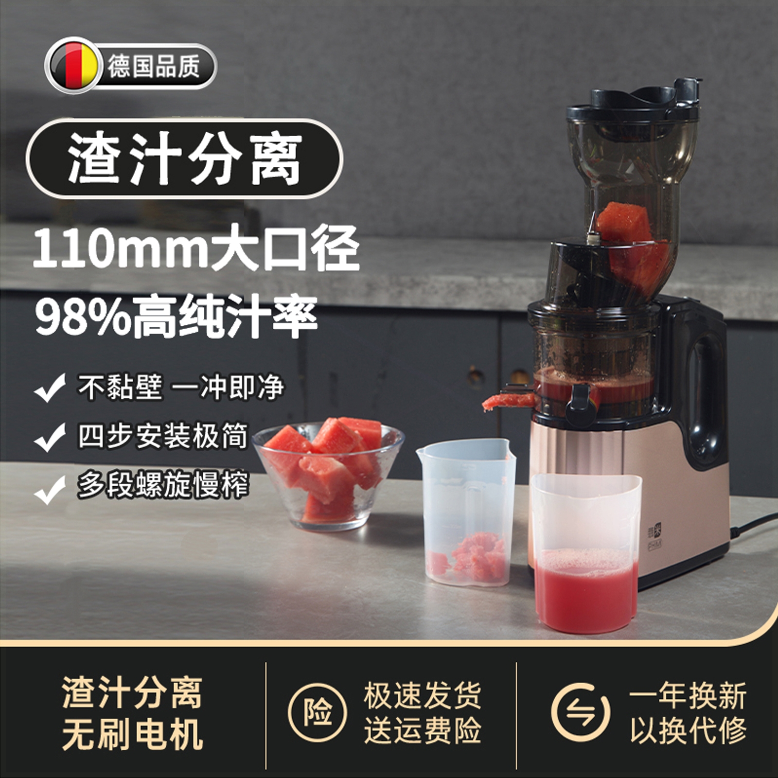 德国榨汁机渣汁分离家用水果蔬菜