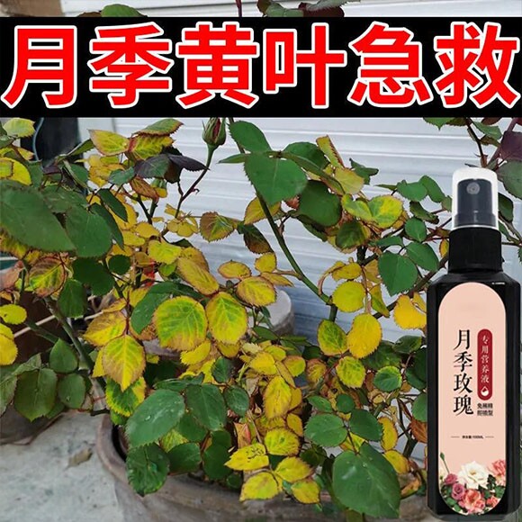 月季免稀释直喷型花神纪营养液