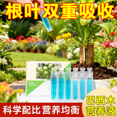 巴西木专用营养液肥料