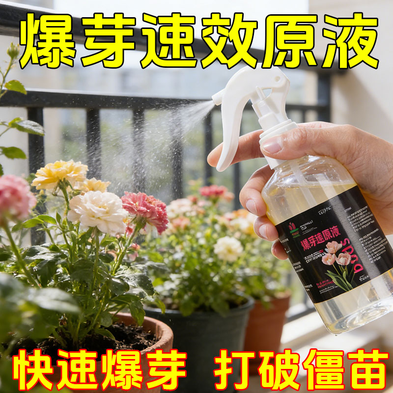爆芽素原液多肉催芽分化活力素
