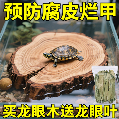 乌龟缸专用龙眼木晒台养龟