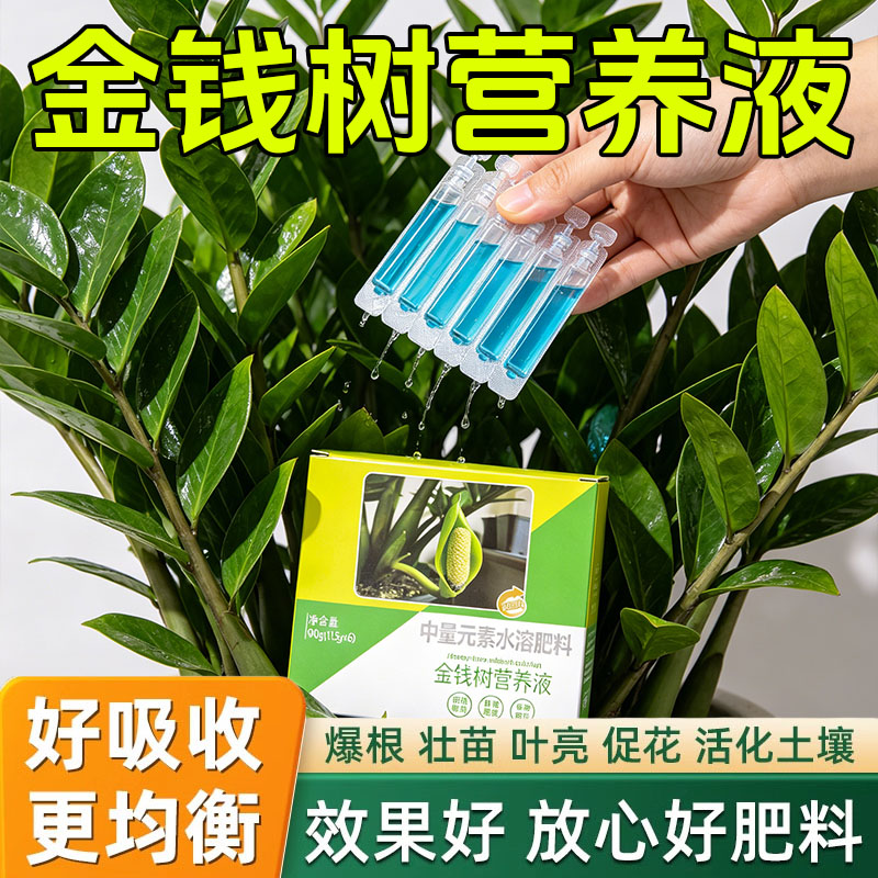 金钱树专用营养液盆栽树苗