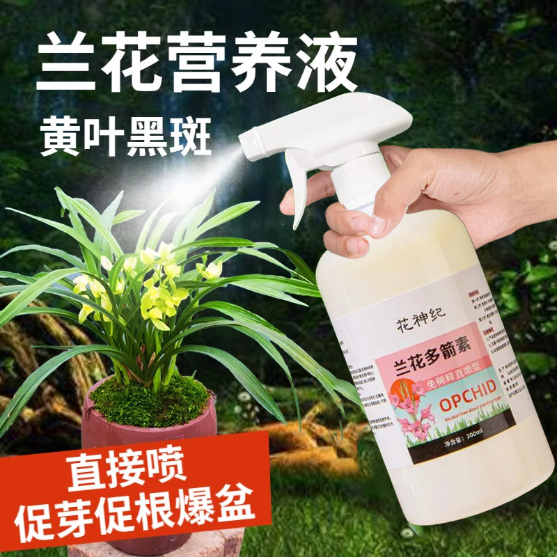 营养液植物兰花型花肥发财树富贵竹绿萝水培盆栽通用花卉养花肥料