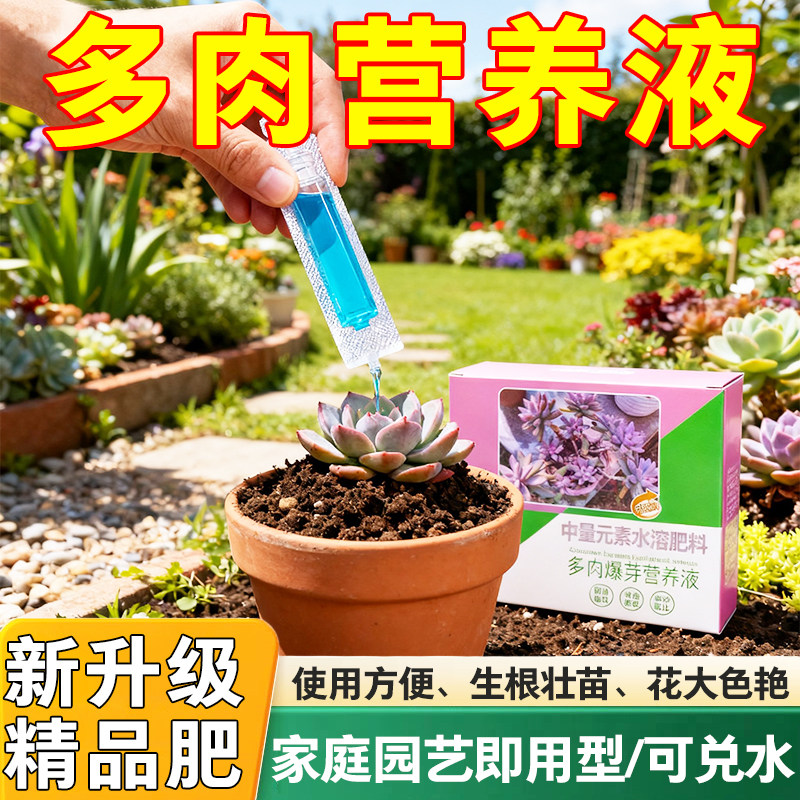 多肉专用矮胖素防徒长增肥上色