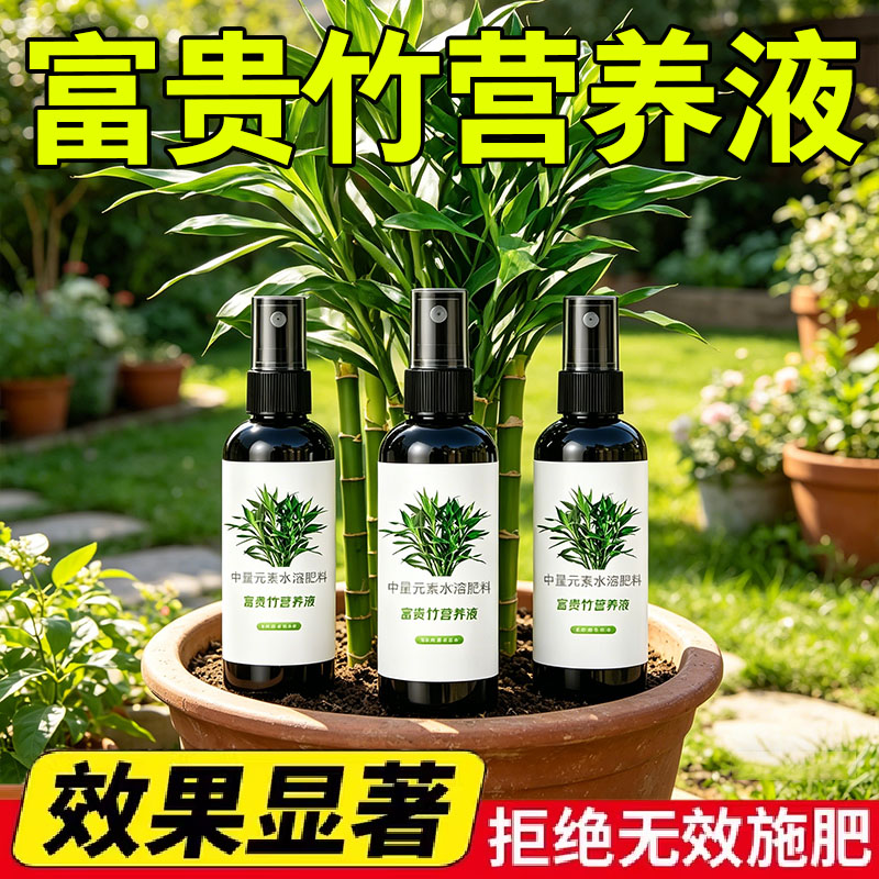 富贵竹营养液专用肥料预防黄叶