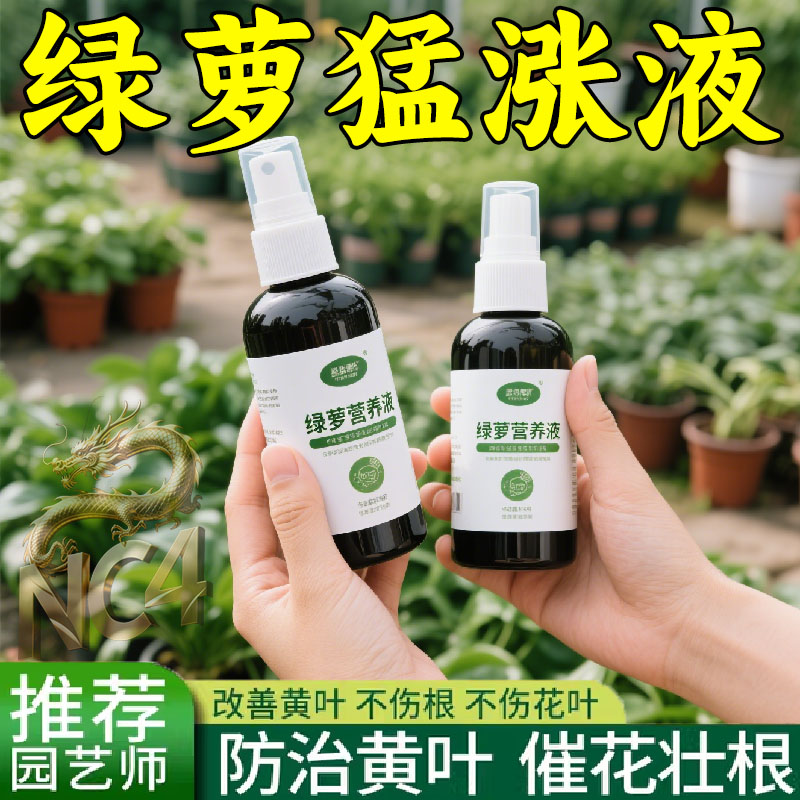 绿萝营养液水培肥料免稀释直接喷