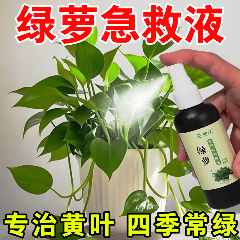 绿萝营养液专用肥料家用植物盆栽防黄叶落叶增肥增绿液体肥通用型