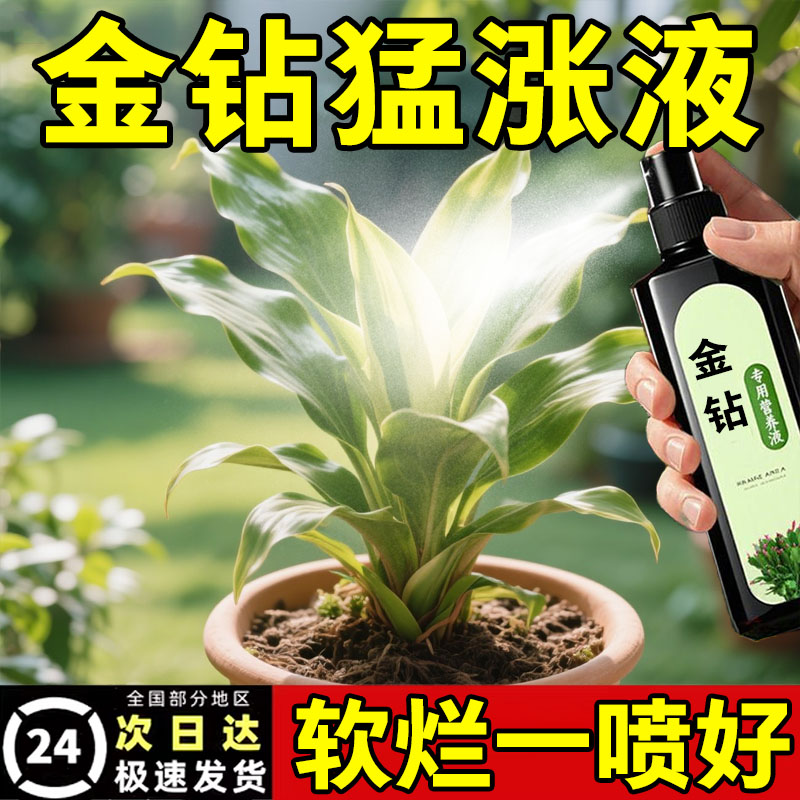 金钻营养液专用肥料家用室内养花