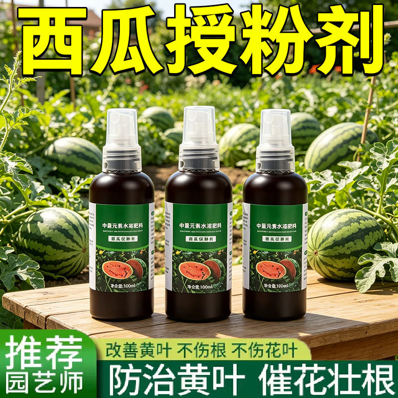西瓜授粉专用药人工授粉保花保果坐果灵甜瓜香瓜防畸形防落素肥料