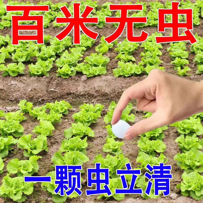 园艺防虫片杀虫剂植物小白药吡虫啉糖化硼肥片杀虫片花卉驱蚊驱虫