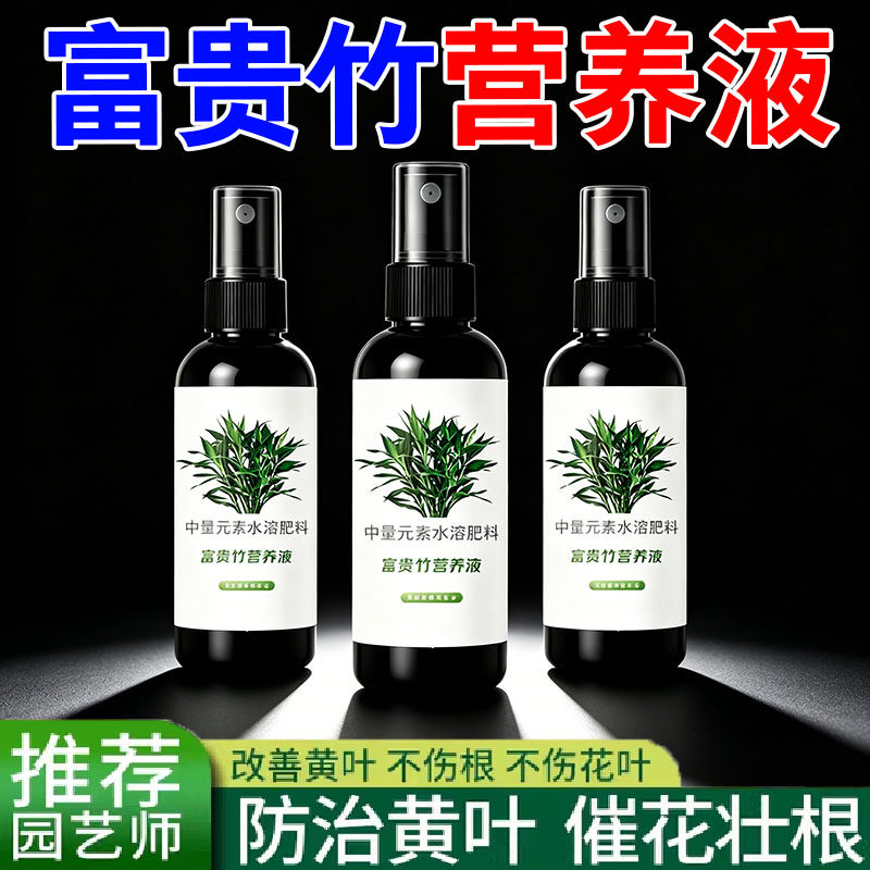 富贵竹专用营养液治叶子发黄