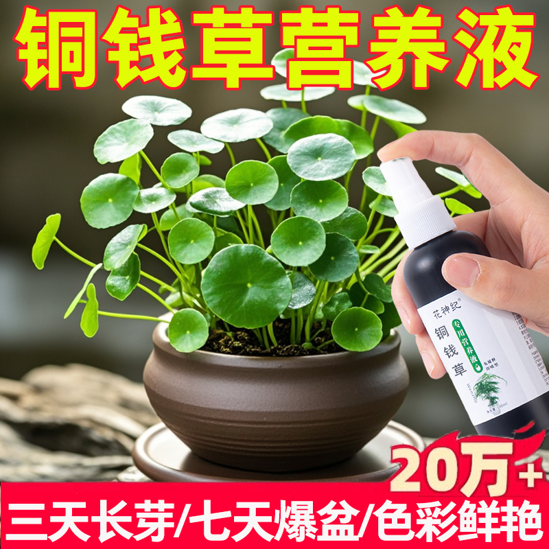 【一喷爆盆】铜钱草营养液防黄叶枯萎烂根促生长爆嫩叶水培叶面肥