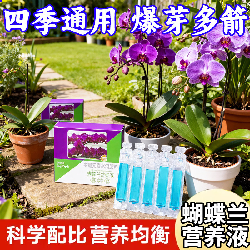 蝴蝶兰营养液专用爆根剂