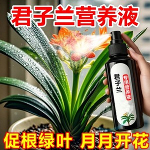 君子兰营养液专用肥兰花促箭防黄叶治烂根家用盆栽植物通用花肥料