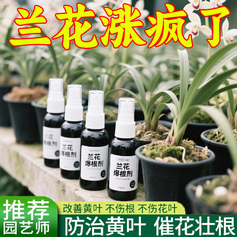 兰花营养液专用肥免稀释液体肥