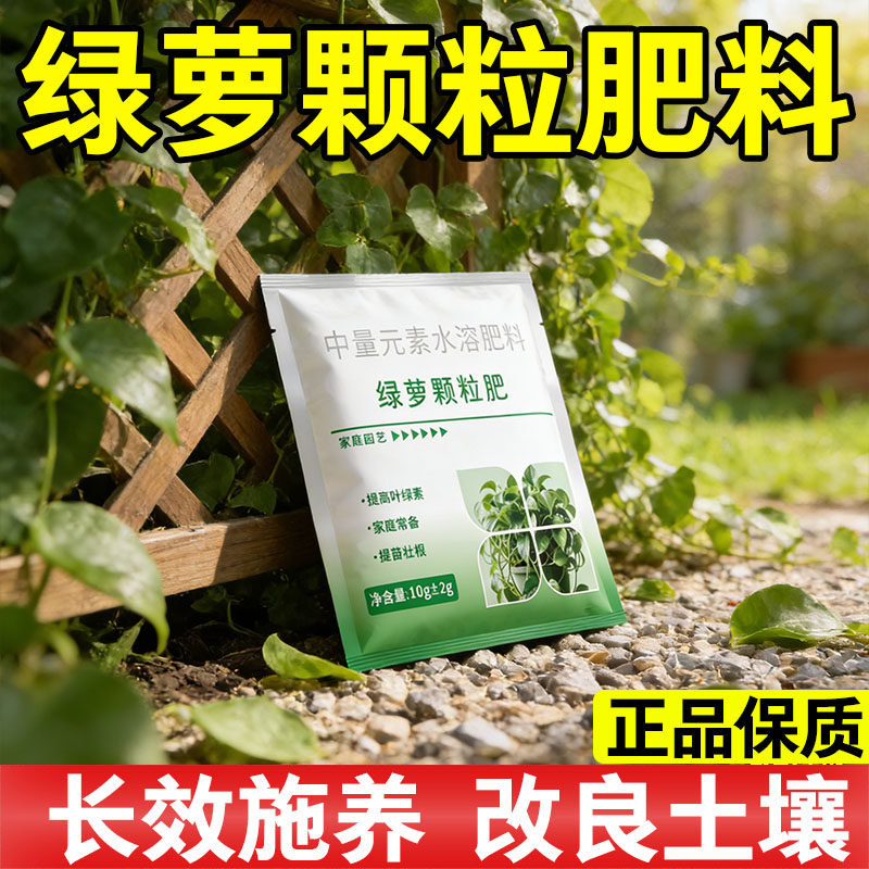 绿萝营养液专用肥料家用植物盆栽吊兰水培通用型绿箩营业液叶面肥