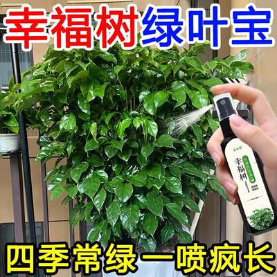 幸福树专用肥料营养液盆栽植物室内绿植养花花肥通用氮磷钾复合肥