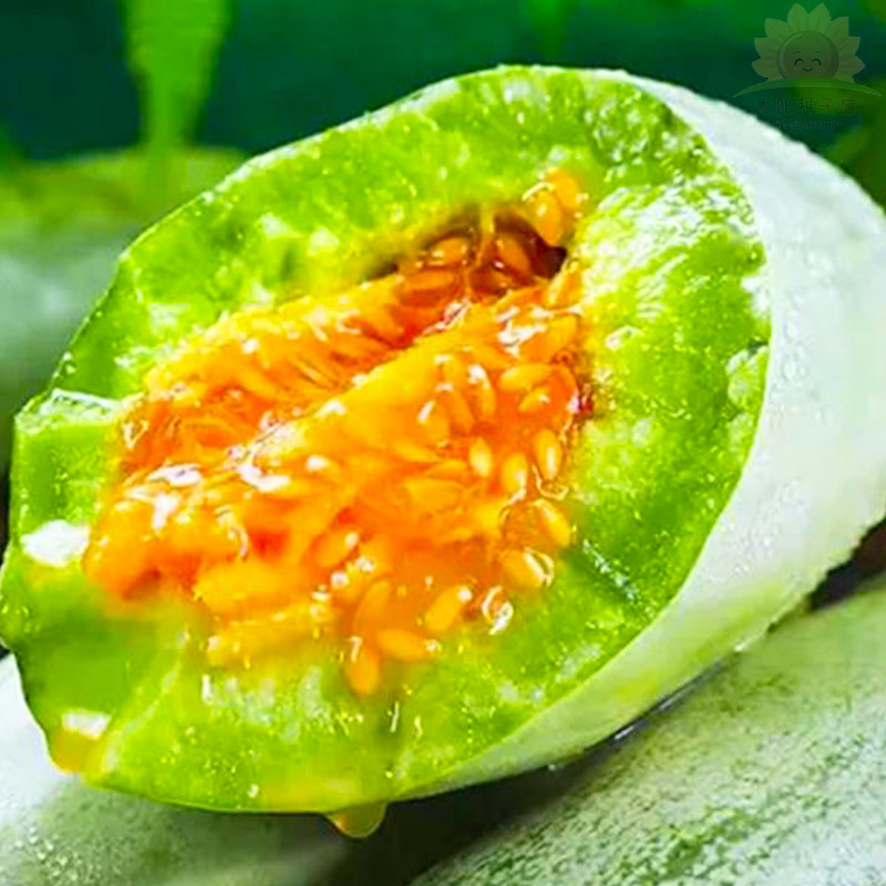 羊角蜜瓜酥甜瓜种子种籽蔬菜孑脆甜高产香瓜水果四季大全香瓜种籽