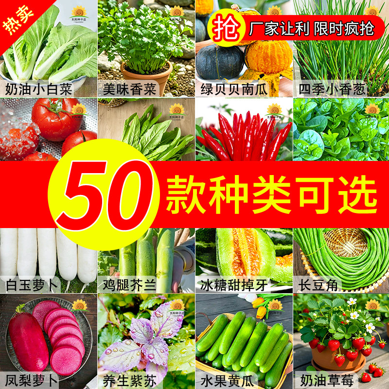 四季青蔬菜种子大全辣椒籽茄子生菜番茄黄瓜豆角春季原装蔬菜种子