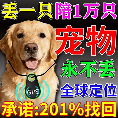 GPS北斗宠物防丢定位项圈摄像