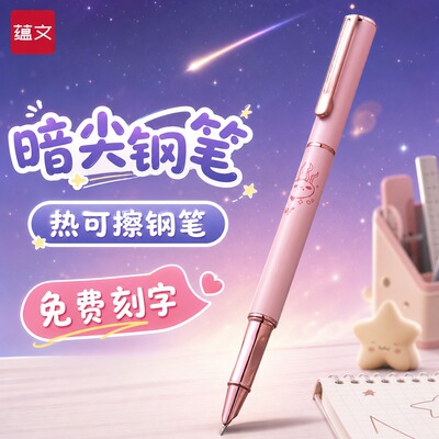 【暗尖可擦钢笔】小学生专用