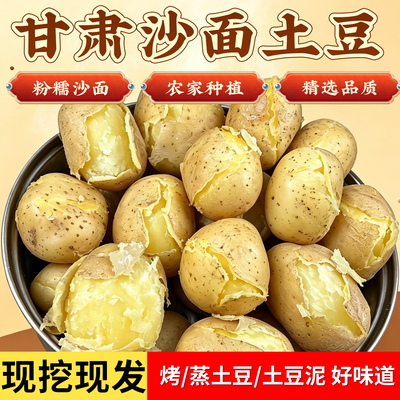 甘肃定西黄心粉面新鲜土豆