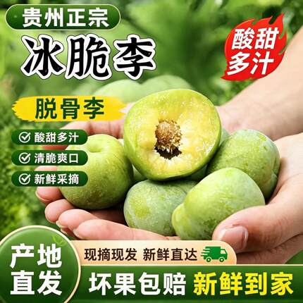 顺丰冷链贵州四月李酸甜青脆新鲜采摘应季水果批发产地直发孕妇