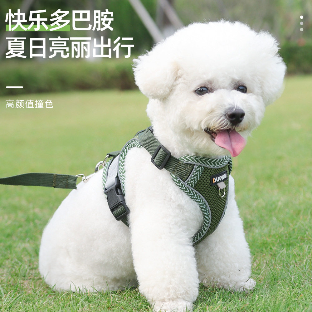 狗狗胸背小狗牵引绳猫狗