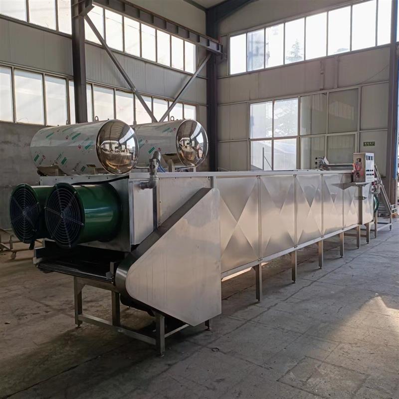 脱水蔬菜干蒸汽烘干机厂大型果蔬脆山药片红薯干多层网带烘干机