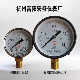 杭州富阳宏盛仪表厂Y100径向压力表 储气罐压力表 水压表M20*1.5