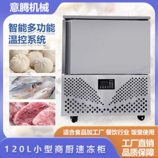 酒店冷藏鸡爪 鸡翅猪脚 冷冻丸子小型商用速冻机 急冻海鲜冷冻柜