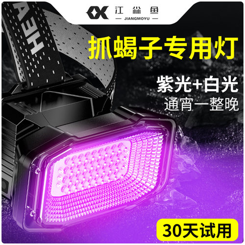 江尛鱼照蝎子专用头戴式强光头灯