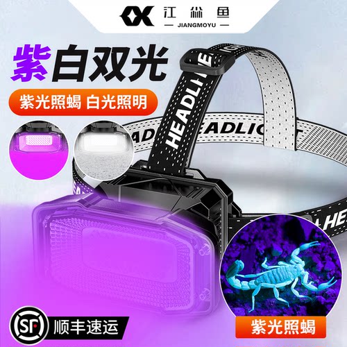 双光源蝎子头戴式灯头灯超亮户外