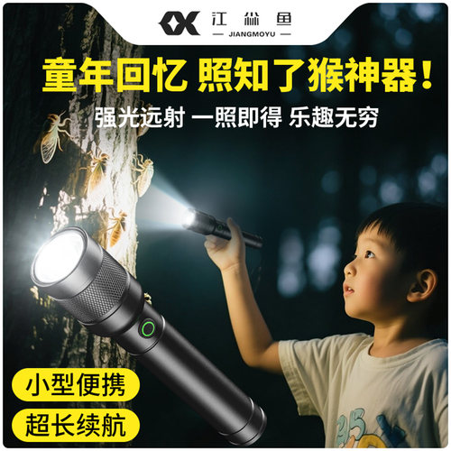 照知了猴专用灯手电筒强光充电