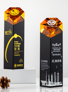 新款双色水晶奖杯定制定做个性公司年会优秀个人员工荣誉颁奖纪念