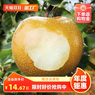 梨树果苗嫁接苗翠冠梨树梨子树苖地栽当年结果梨树苗果树种植庭院