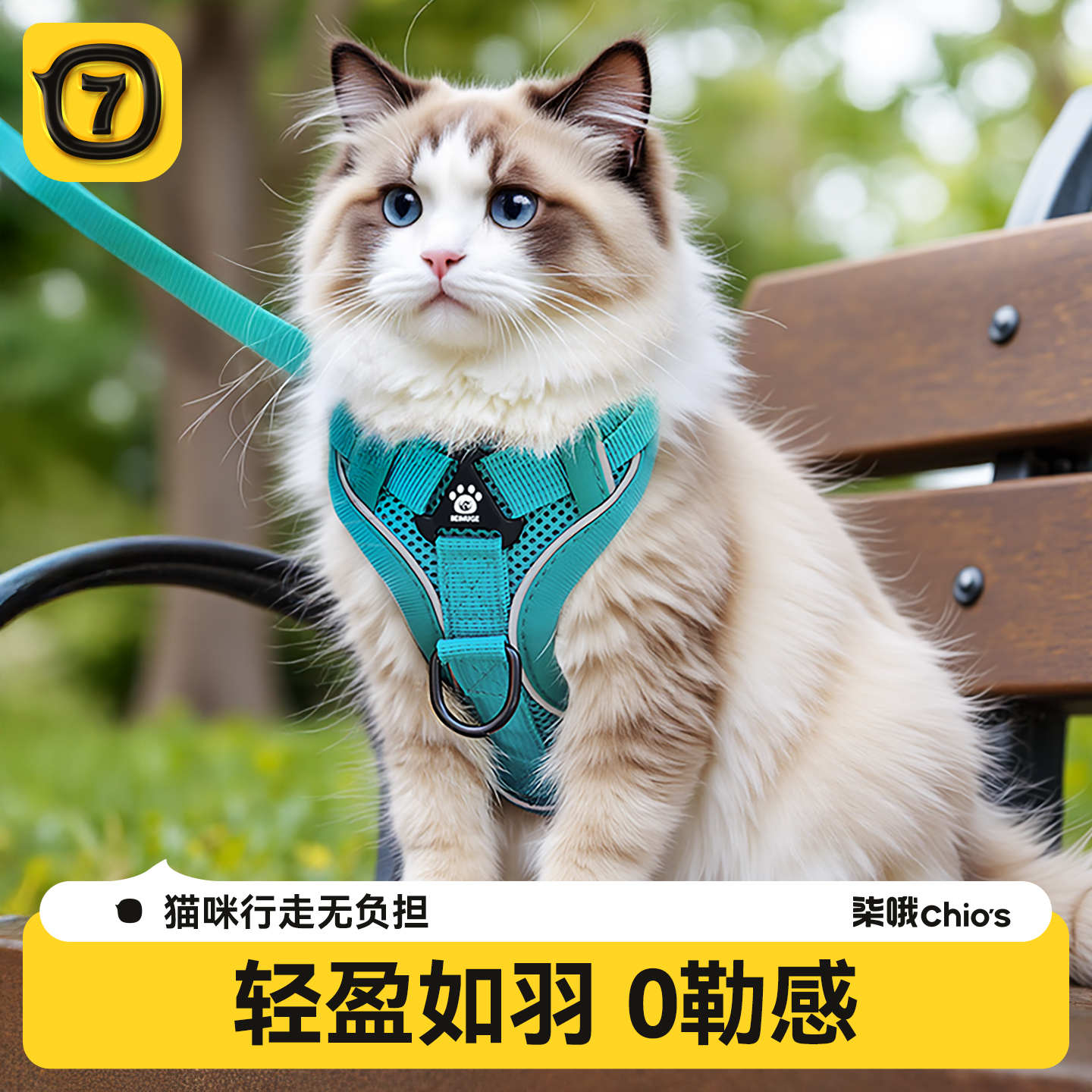 猫咪牵引绳不勒脖防挣脱外出专用