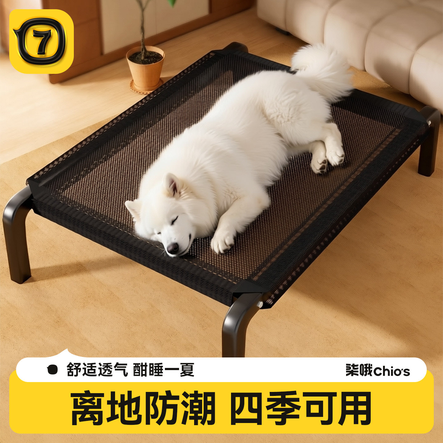 抖音爆款！狗狗行军床图片