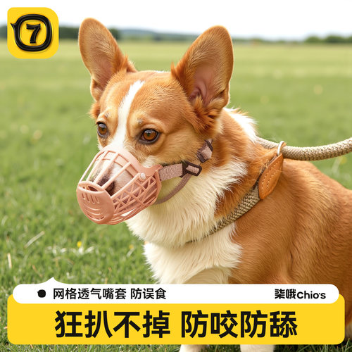 【博主种草】狗狗透气防乱吃嘴套