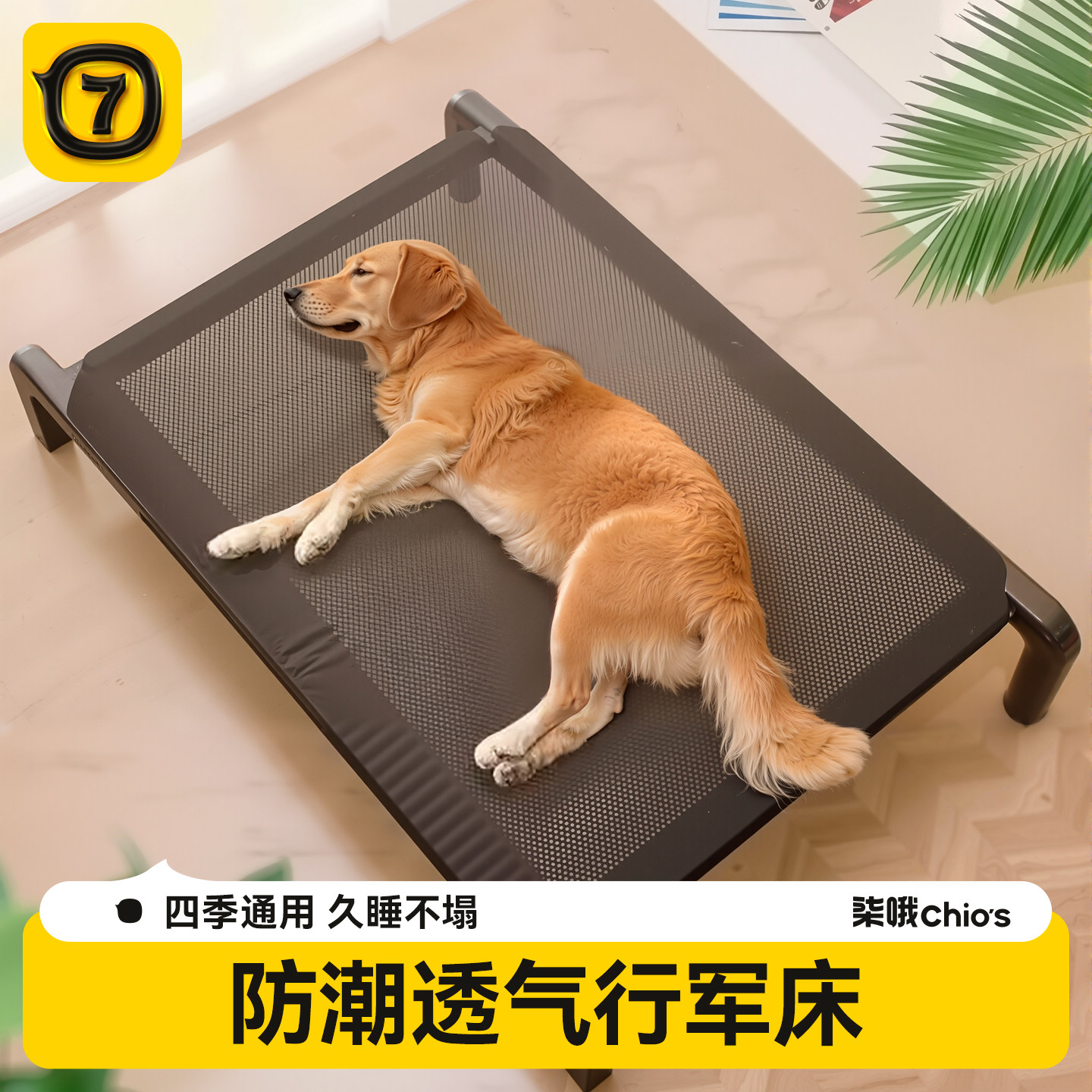 狗狗行军床狗窝四季通用宠物离地狗床铁架小型犬大型犬网布狗垫子,宠物/宠物食品及用品,猫狗床/躺椅,淘宝优惠券,粉丝福利购,淘宝优惠卷