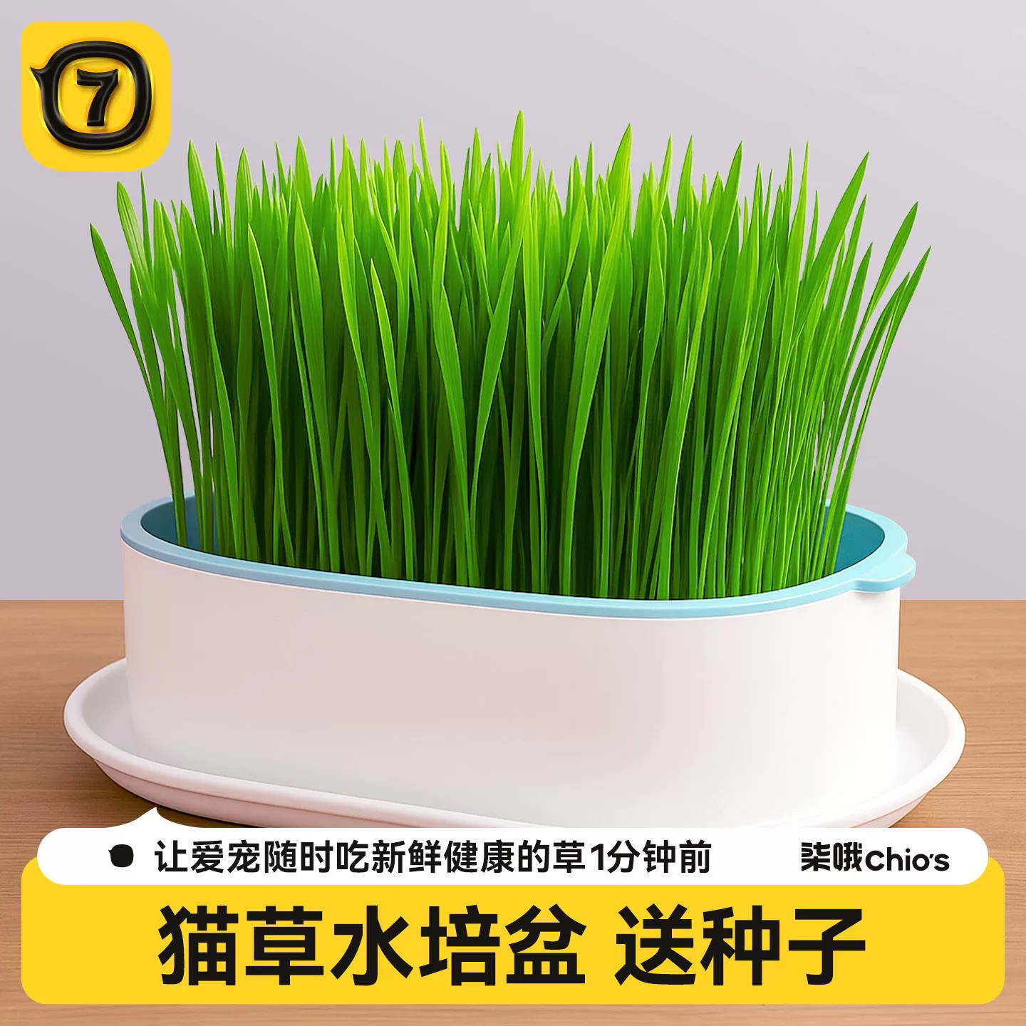 猫草盆栽水培盒懒人猫草种子盘猫咪化毛片专用草猫草棒冻干猫草粒