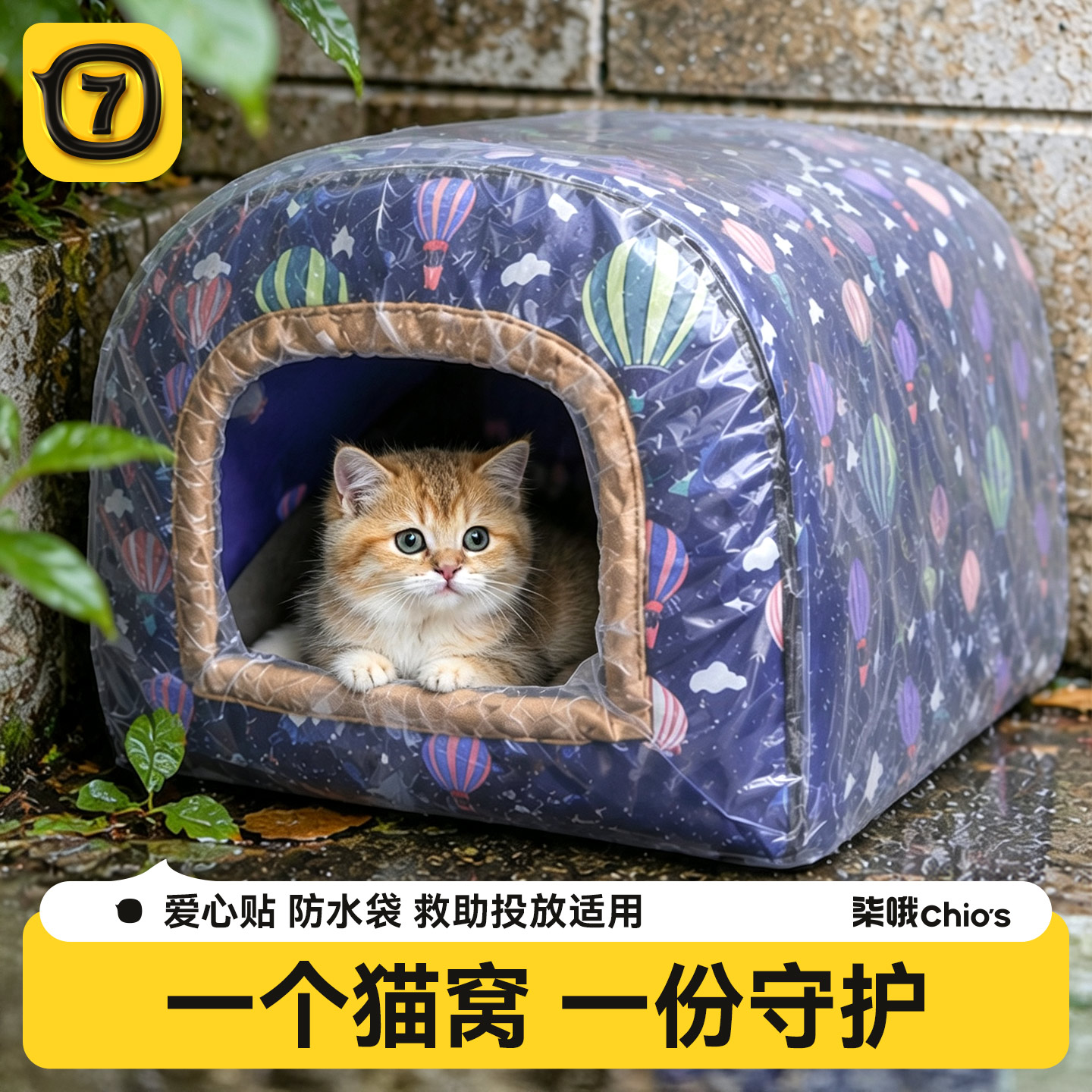 【守护毛孩子】流浪猫窝图片