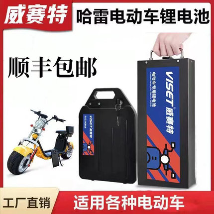 哈雷车电动车锂电池通用48v60v20ah72v外卖代驾可拆卸大容量电瓶