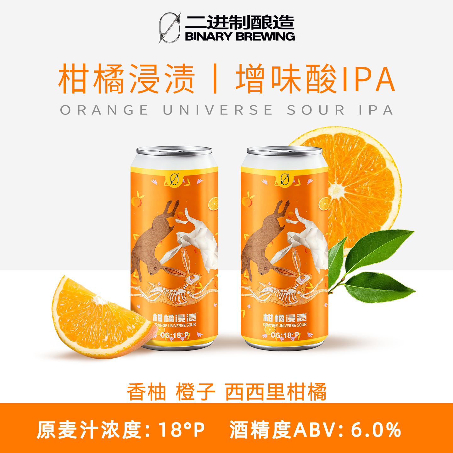 二进制柑橘浸渍增味酸IPA柑橘风味精酿啤酒500ML/*6【新款】