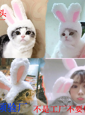 跨境耳朵可立猫咪头套可爱兔子变装帽猫头饰表演道具搞笑宠物帽子