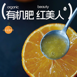 预【山纪生鲜】 小小果冻橙 浓缩清甜 软嫩无渣