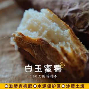 预【山纪生鲜】白玉蜜薯/发酵有机肥/水源保护