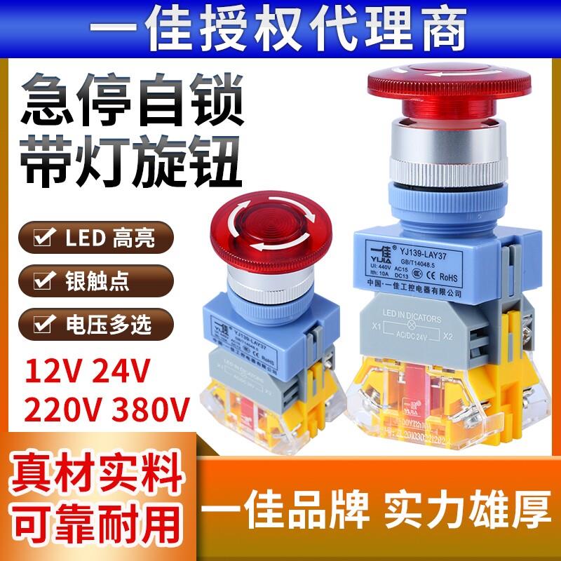电源开关自锁带灯24 220V蘑菇头急停开关急停止LAY37 Y090-11ZSD