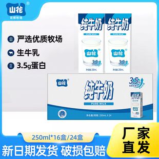 【新鲜日期】贵州贵阳山花纯牛奶250mlx16盒24盒整箱装